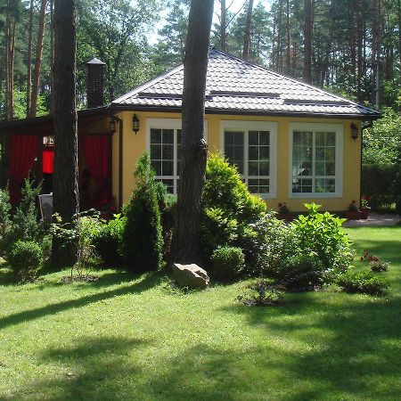Domik V Lesy Konuk evi Lyutezh Dış mekan fotoğraf